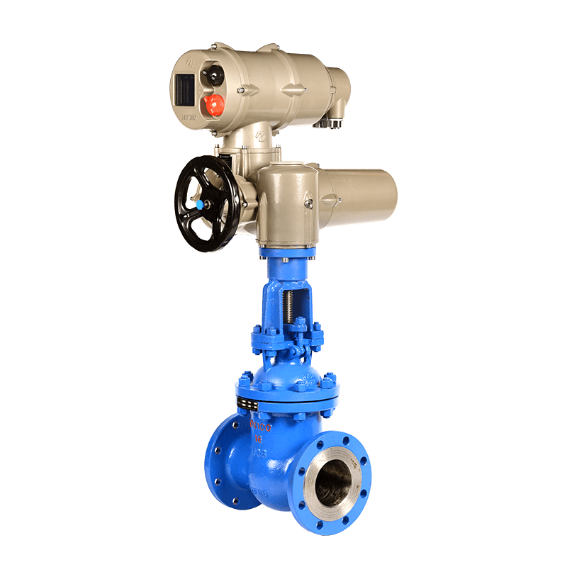 Electric Gate Valve